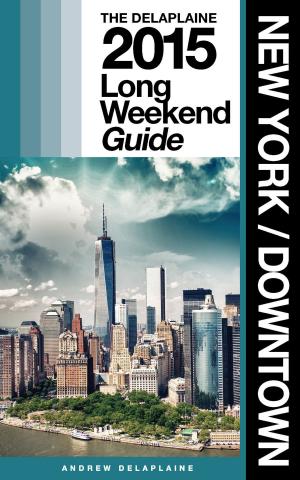 Cover of New York / Downtown: The Delaplaine 2015 Long Weekend Guide