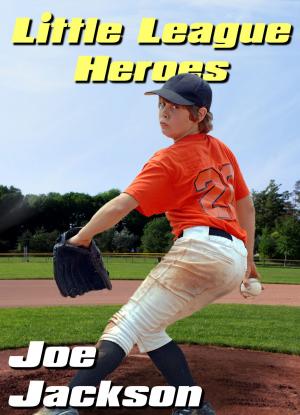 Book cover of Little League Heroes