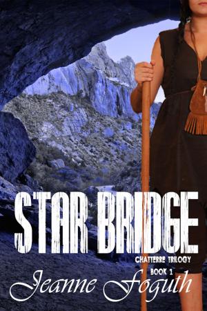 Book cover of Star Bridge