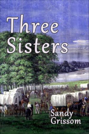 Cover of the book Three Sisters by Sand Wayne