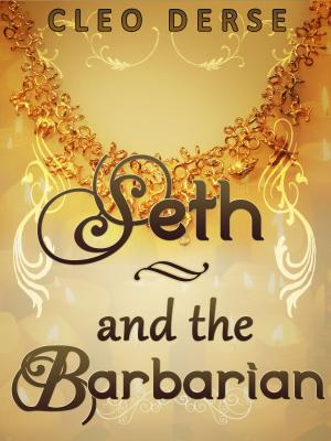 Cover of the book Seth and the Barbarian by Moxie Morrigan