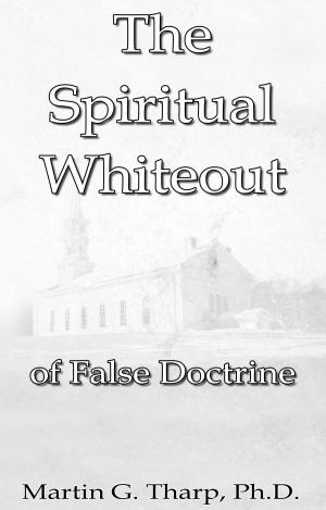 bigCover of the book The Spiritual Whiteout of False Doctrine by 