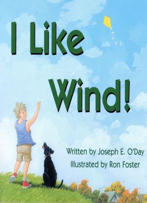 Cover of the book I Like Wind! by Tony R. Smith