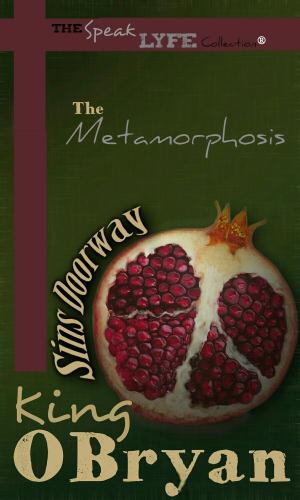 Book cover of An Allegory- The Metamorphosis: Sin's Doorway