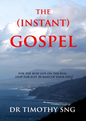 Cover of The Instant Gospel
