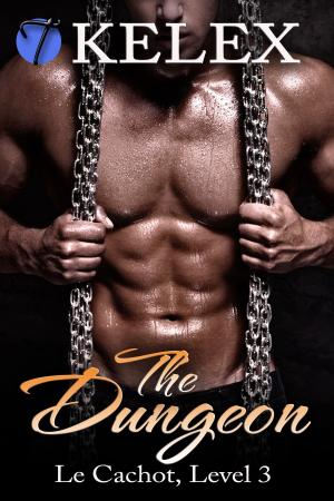 Cover of the book The Dungeon (Le Cachot, Level Three) by Kelex