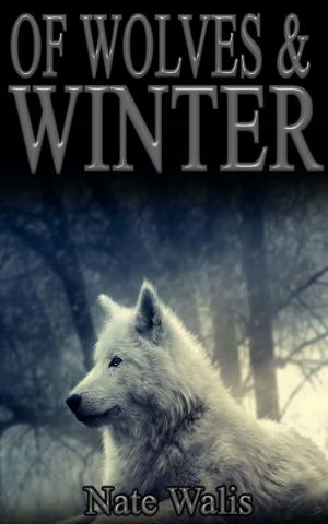 Cover of the book Of Wolves & Winter: A Tale of Rakki Silverthorne by Rebecca Rose Taylor