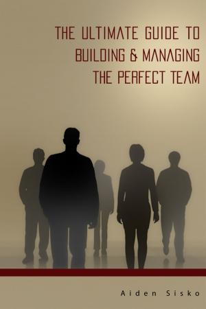Cover of the book The Ultimate Guide to Building & Managing the Perfect Team! by Damon Lundqvist