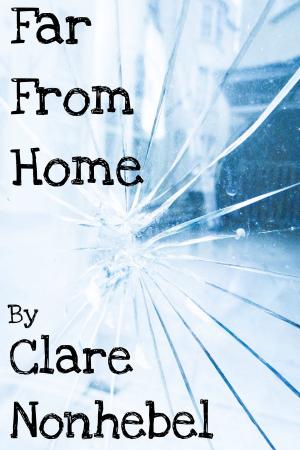 Book cover of Far From Home: Stories of the homeless and the search for the heart's true home