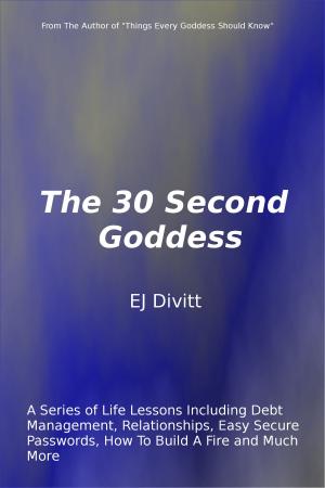 Book cover of The 30 Second Goddess