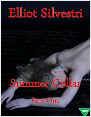 Cover of the book Summer Collar Part One by Manlio Cancogni