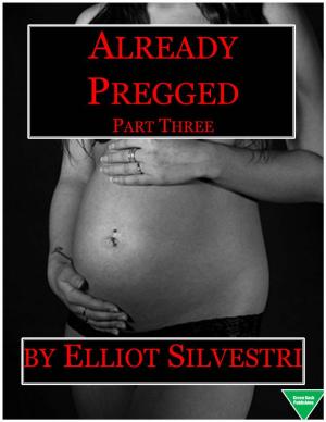 Cover of the book Already Pregged (Part 3) by Elliot Silvestri