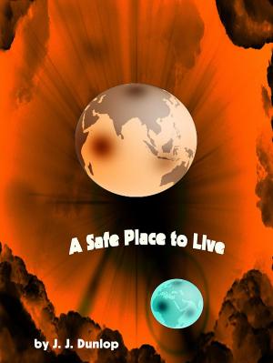 Cover of the book A Safe Place to Live by J. A. Folkers