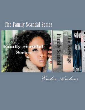 Cover of the book The Family Scandal Series by Andrew May