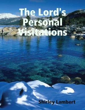 Cover of the book The Lord's Personal Visitations by Rick L. Phillips