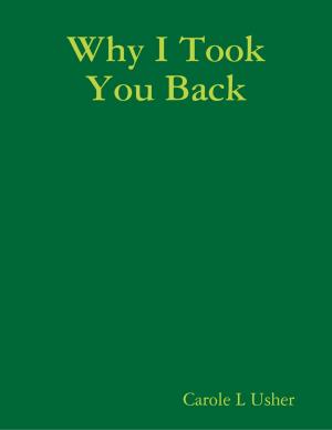 Cover of the book Why I Took You Back by Anthony Ekanem