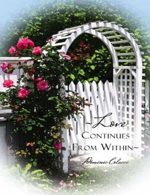 Cover of the book Love Continues from Within by Ceara Comeau