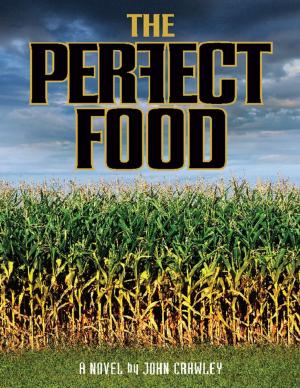 Cover of the book The Perfect Food by Danyel Naq