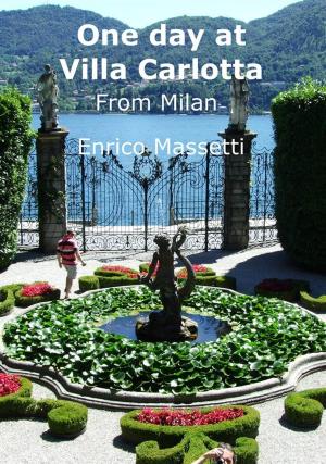 Cover of the book One Day at Villa Carlotta by Enrico Massetti