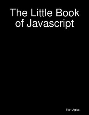 Cover of the book The Little Book of Javascript by Tami Brady