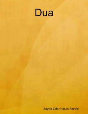 Cover of the book Dua by Jaclyn Kliman