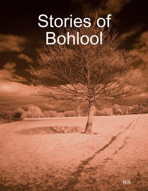 Cover of the book Stories of Bohlool by Douglas Christian Larsen