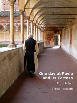 Cover of One Day at Pavia and its Certosa from Milan