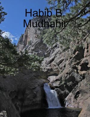 Cover of the book Habib B. Mudhahir by Marie Strobel