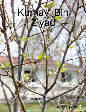 Cover of the book Kumayl Bin Ziyad by Audrey Rey, Mina Hunt