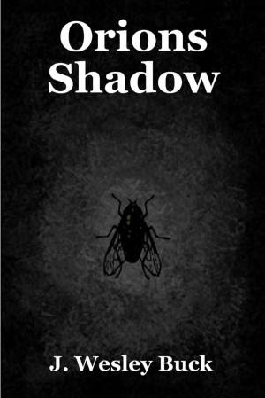 Cover of the book Orion's Shadow by Colin K Smith
