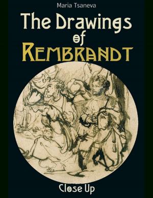 Book cover of The Drawings of Rembrandt: Close Up