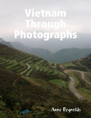 Cover of the book Vietnam Through Photographs by Donald Castaneda