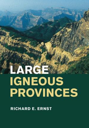 Cover of the book Large Igneous Provinces by Koichi Shimokawa