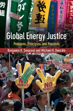 Cover of the book Global Energy Justice by Roland Wenzlhuemer
