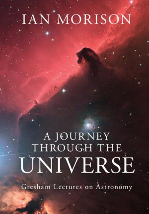 Book cover of A Journey through the Universe
