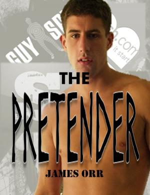Cover of the book The Pretender by Doreen Milstead