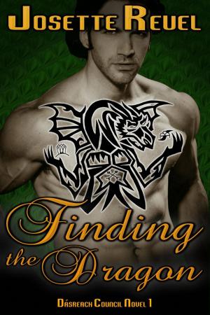 Book cover of Finding the Dragon