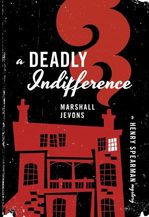 Cover of the book A Deadly Indifference by Gerhard Adler, C. G. Jung, R. F.C. Hull