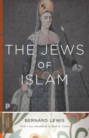 Cover of the book The Jews of Islam by Richard Bourke