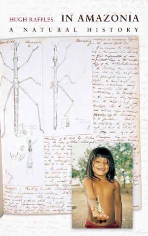 Cover of the book In Amazonia by Ann Taves