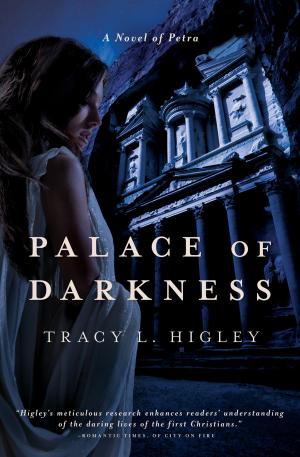 Cover of the book Palace of Darkness by Kristin Billerbeck
