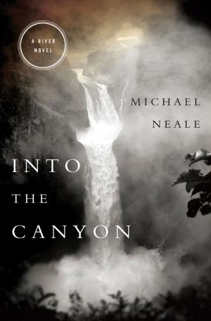 Cover of the book Into the Canyon by Ted Dekker