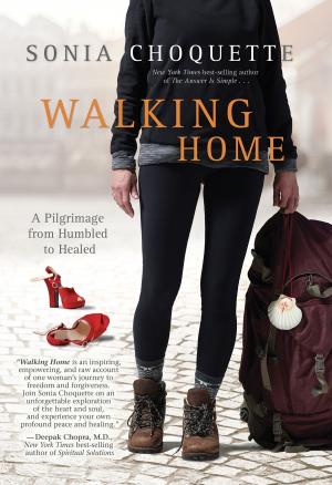 Cover of the book Walking Home by Bruce H. Lipton, Ph.D.