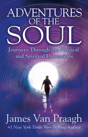 Cover of the book Adventures of the Soul by Joy Browne, Dr.