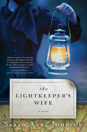 Cover of the book The Lightkeeper's Wife by Barbara Erskine