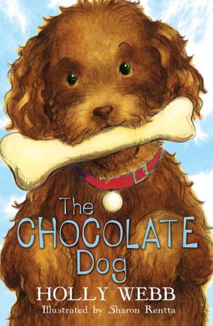 Cover of the book The Chocolate Dog by Ally Kennen