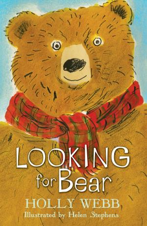 Cover of the book Looking for Bear by Timothy Knapman