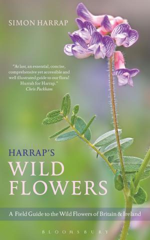 Cover of the book Harrap's Wild Flowers by Svetlana Boym