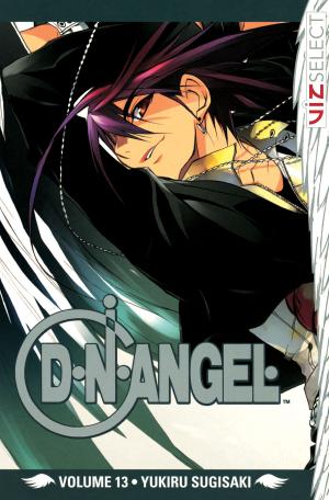 Cover of the book D・N・ANGEL, Vol. 13 by Hidenori Kusaka
