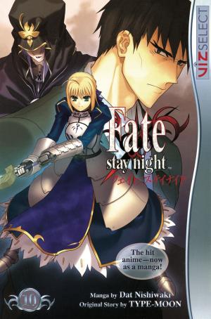Cover of the book Fate/stay night, Vol. 10 by Gosho Aoyama